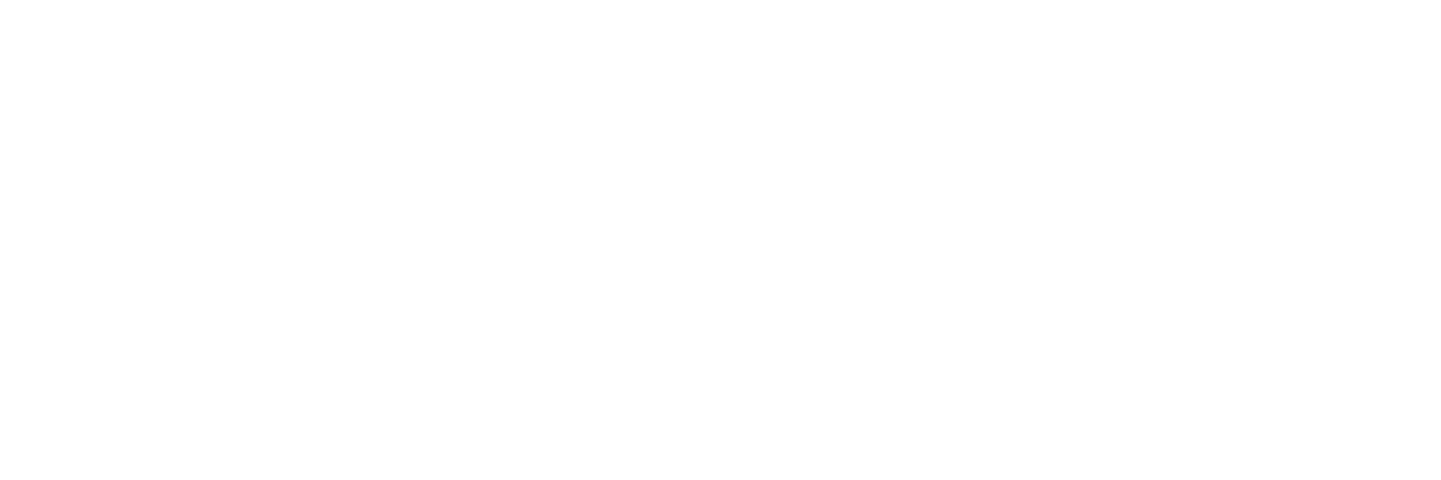 12_Adyton_Wordmark_White